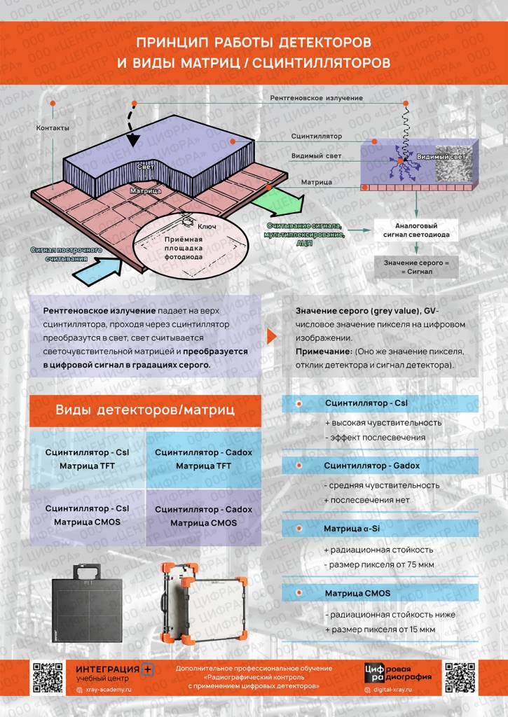 комплекс цифровой радиографии, виды детекторов, системы цифровой радиографии, плоскопанельный детектор, устройство плоскопанельного детектора, устройство цифракона, цифракон, транскан, цифровая радиография